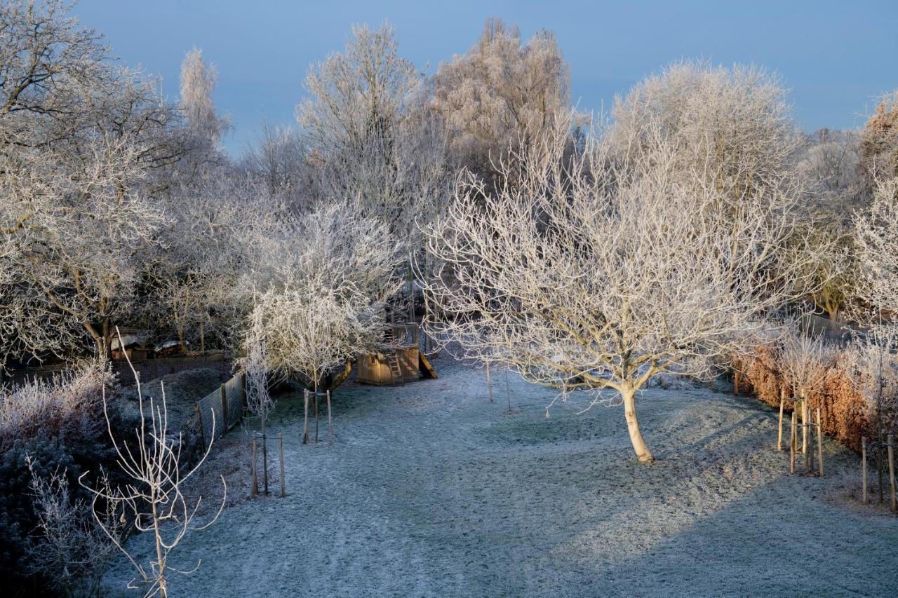 Nuit Blanche Bed & Breakfast Oud-Heverlee Eksteriør bilde