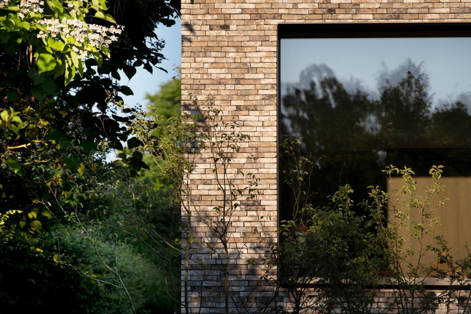 Nuit Blanche Bed & Breakfast Oud-Heverlee Eksteriør bilde